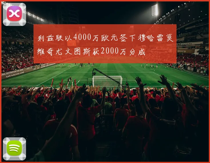 利兹联以4000万欧元签下穆哈雷莫维奇尤文图斯获2000万分成